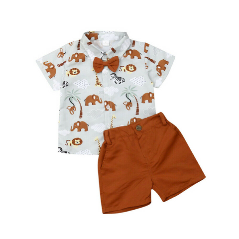 Baby Boys Two Piece Shortsleeve Shirt and Shorts Set 