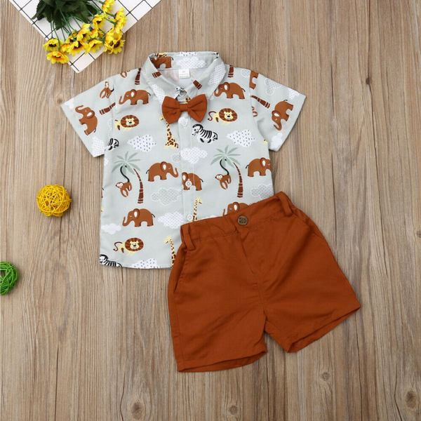 Baby Boys Two Piece Shortsleeve Shirt and Shorts Set 